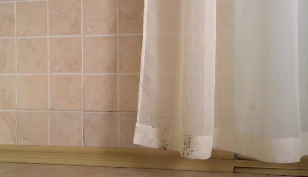 Best Mold Odor Removal Services  in Northlake, SC
