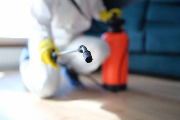 Trusted Northlake, SC Mold Removal Experts